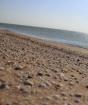Азовское море: где лучше отдыхать, как выбрать курорт