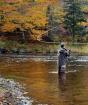 Ловля рыбы в сентябре: какая клюёт, где и когда