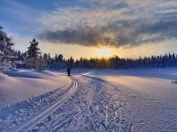 Зимние прогулки и походы на беговых лыжах в финляндии Как работают лыжные клубы в финляндии